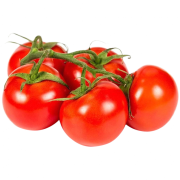 گوجه فرنگی گلخانه ای 1 کیلوگرمی